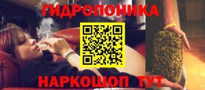 альфа пвп Гатчина