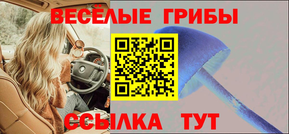 Киров  где купить наркоту  Вход с VPN  Псилоцибиновые грибы мицелий 