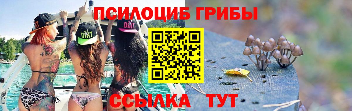 Псилоцибиновые грибы мухоморы Киров